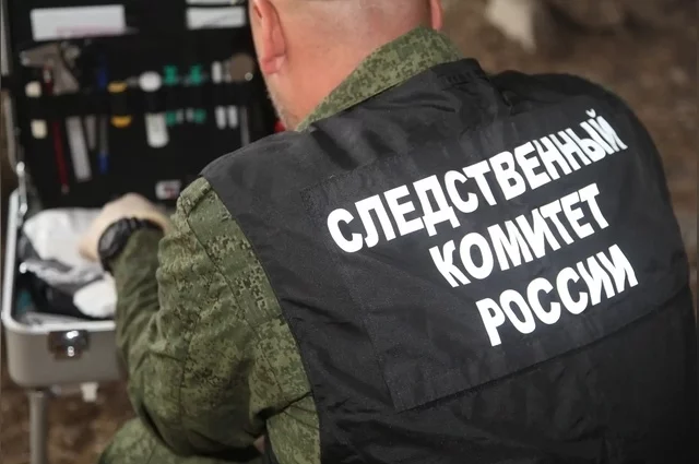 Следователи СК России по Оренбургской области проводят проверку. 