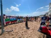 Вот такой интернационал собрался на пляже.