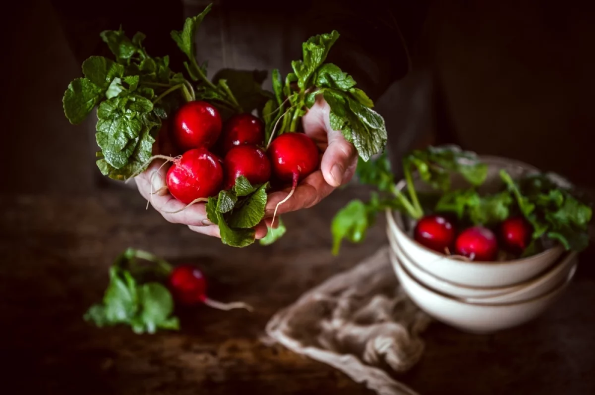 Похрустим. Простой рецепт маринованной редиски — вкусно, как у бабушки