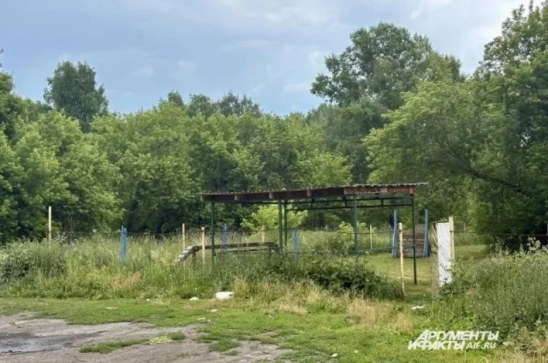 Это стало ясно, когда полицейские посмотрели камеры с площадки для выгула собак, находящейся рядом с кладбищем. 