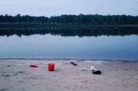 Дети приехали к водоему с родителями. 
