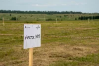 400 участков в поселке «Поколение» передадут многодетным семьям