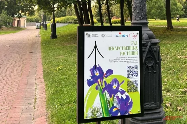 В музее-заповеднике есть отдельная локация — «Сад лекарственных растений».