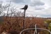 Новороссийские десантники сожгли боевую технику и поразили антенны противника на Ореховском направлении.