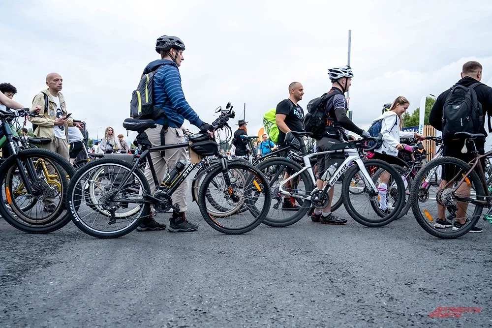 Фото