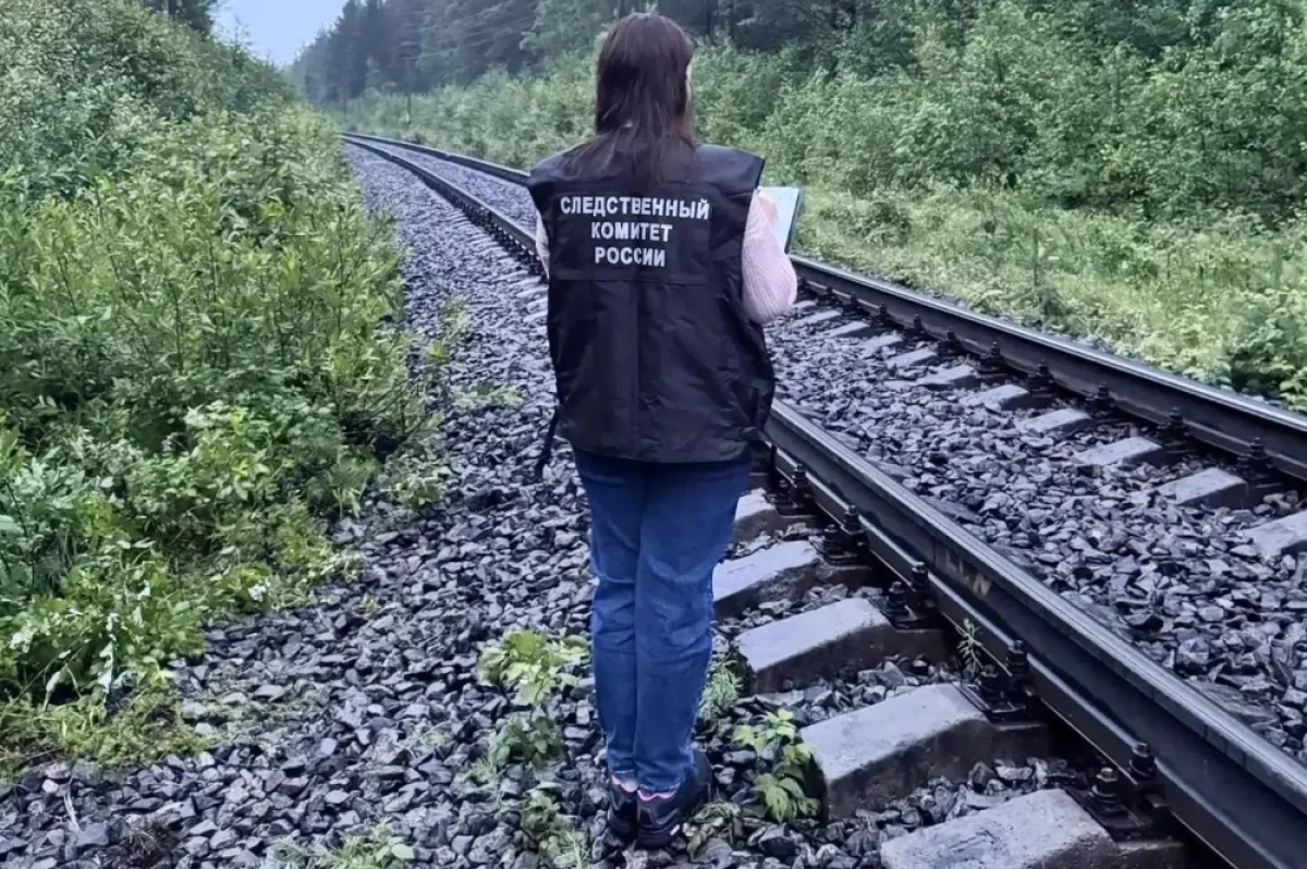 Мужчина погиб на железной дороге в Пряжинском районе