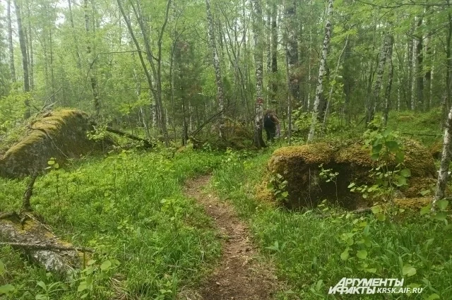 По тропам Кутурчинского Белогорья удобнее передвигаться с палками для ходьбы.