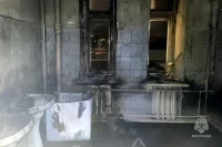 Фото тематическое.