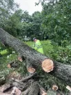 Коммунальные службы приступили к устранению последствий непогоды.
