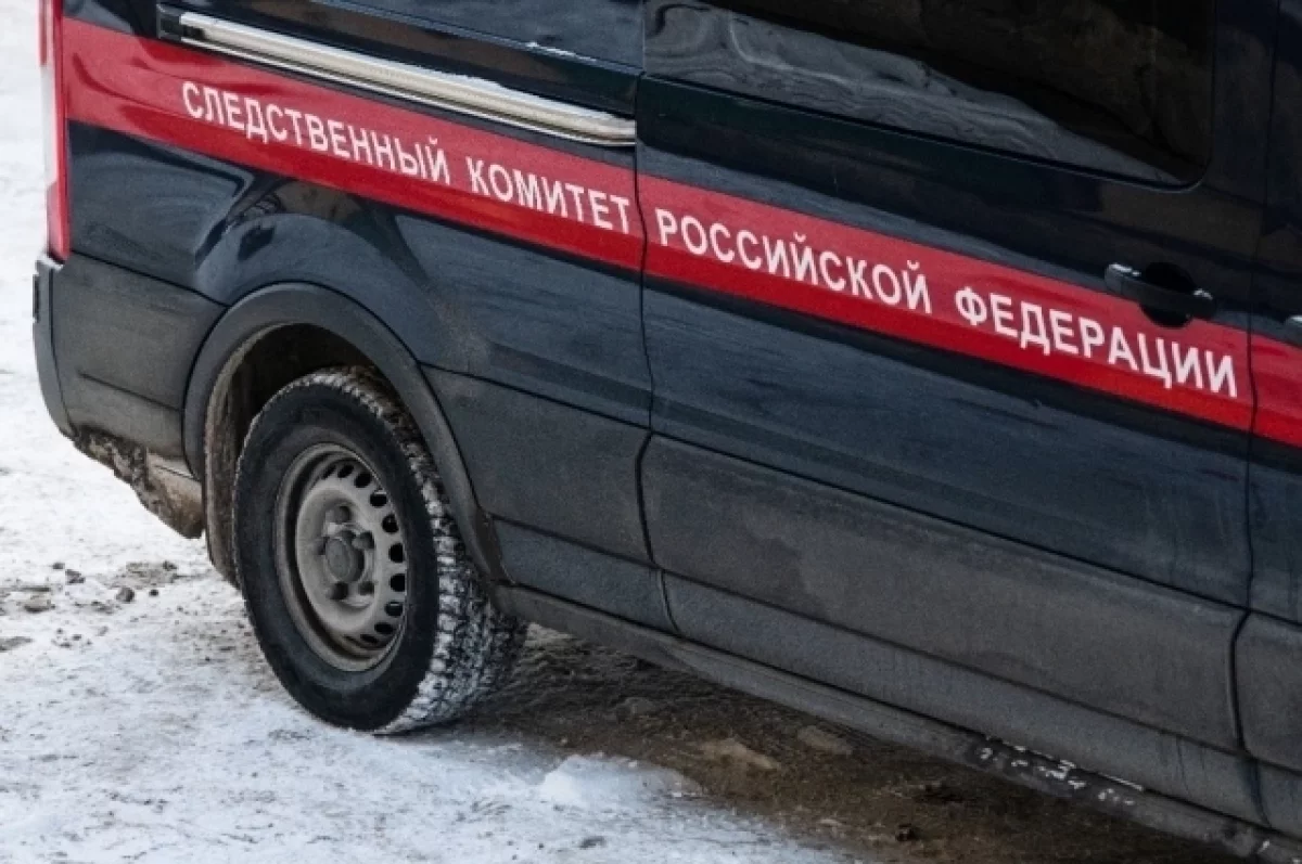 Стала известна предварительная причина смерти пропавших в Туве девочек