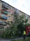 Целое дерево рухнуло на тротуар у пятиэтажки, перегородив пешеходную дорожку от края до края. Крона легла на газон и асфальт, перекрыв проход жителям. На помощь коммунальщикам прибыла автовышка. 