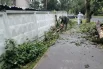 Городские тротуары практически завалило ветками, сучьями и листвой. 