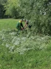 Коммунальные службы приступили к ликвидации последствий сразу после того, как стих ветер.
