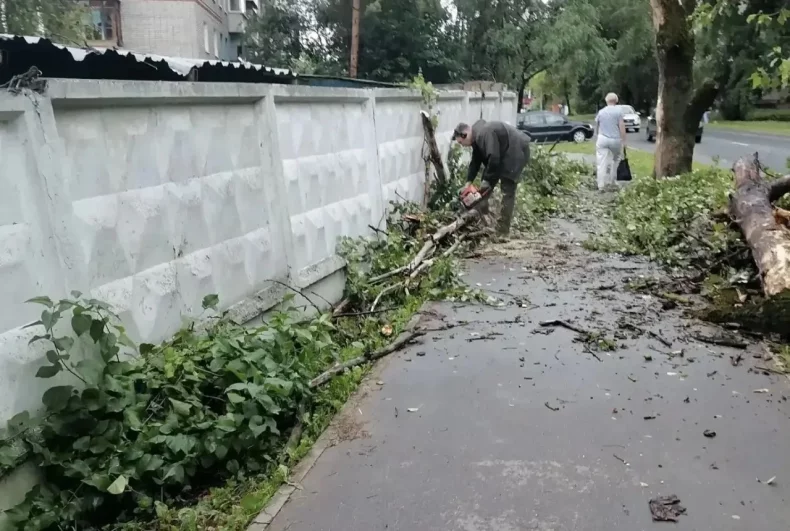Городские тротуары практически завалило ветками, сучьями и листвой. 