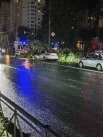 Массивная ветка рухнула на белый седан, практически раздавив крышу и лобовое стекло.