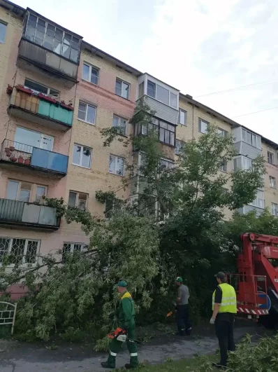 Целое дерево рухнуло на тротуар у пятиэтажки, перегородив пешеходную дорожку от края до края. Крона легла на газон и асфальт, перекрыв проход жителям. На помощь коммунальщикам прибыла автовышка. 