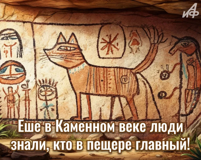 Смешной кот на картинке с юмористическим статусом