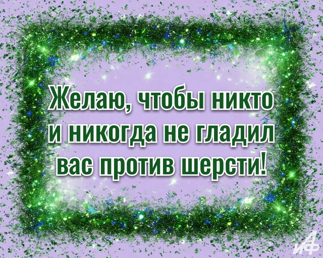 Открытка с пожеланием ко дню кошек