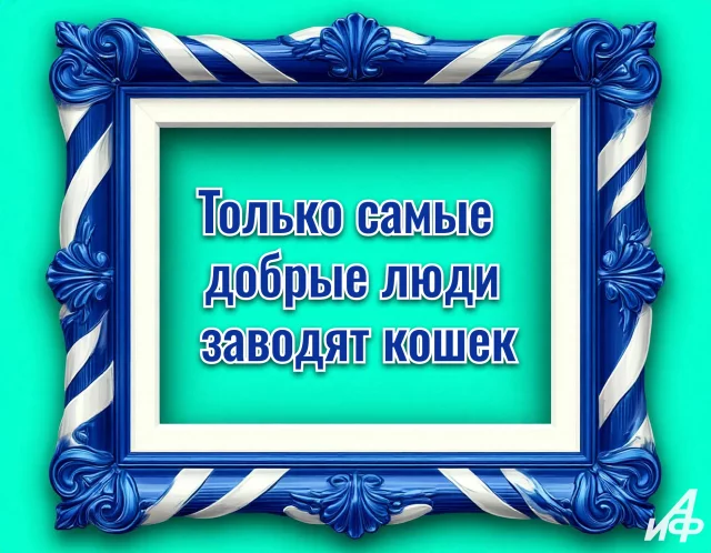 Красивая картинка для человека, который любит кошек