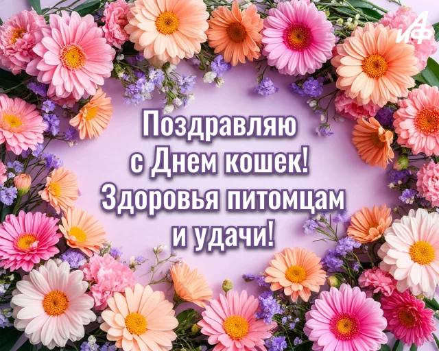 Красивая открытка с Днем кошек и теплыми пожеланиями