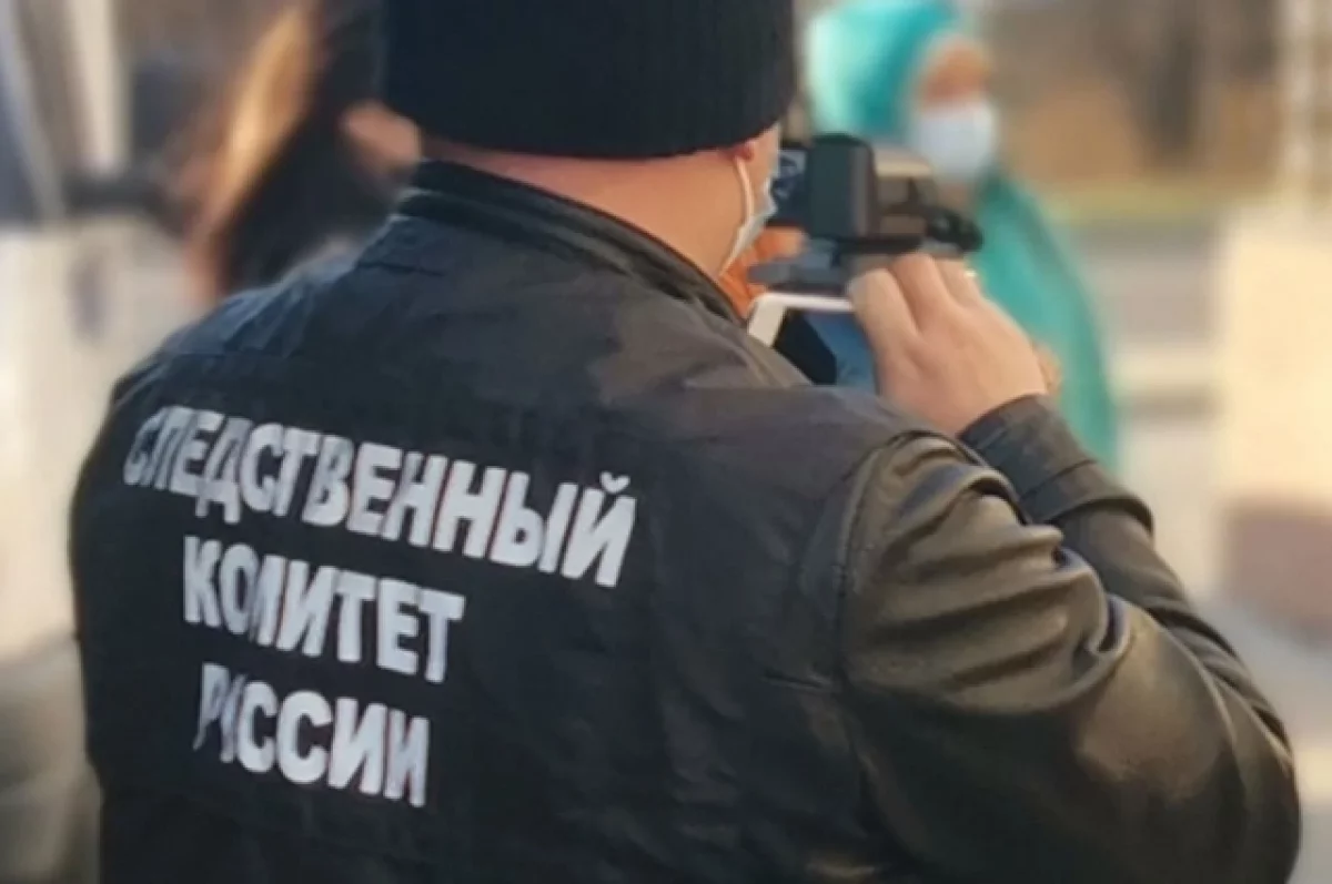В Псковской области проверяют блогера, избивавшего жену на камеру