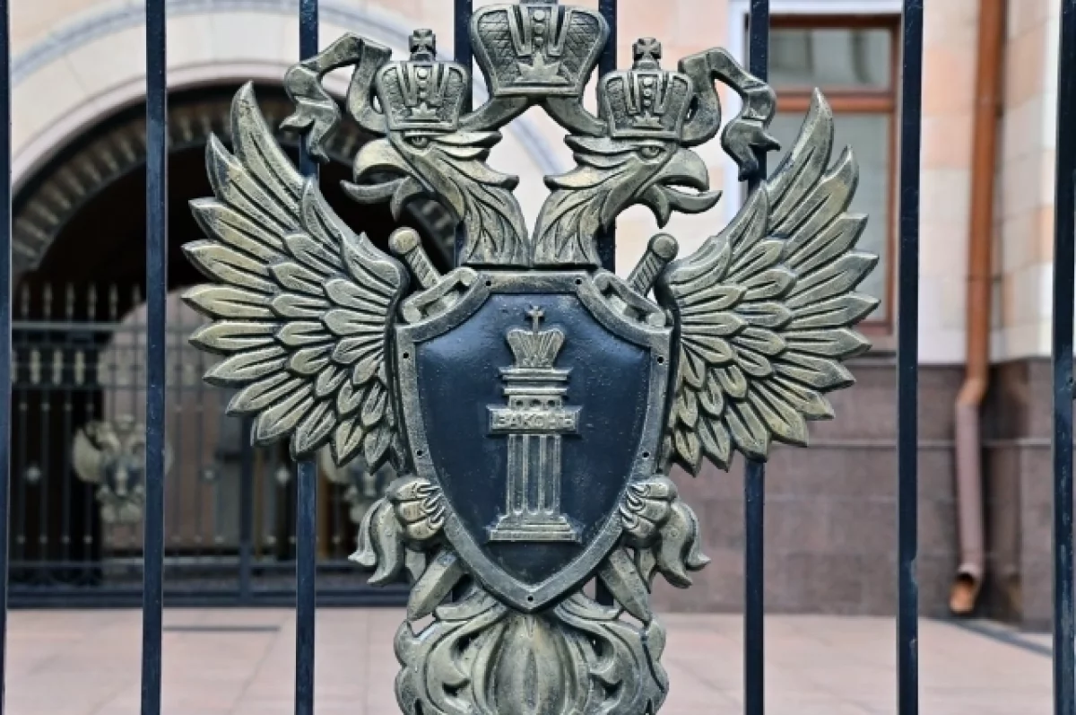 Грузия выдала РФ уроженца Дагестана по делу об убийстве семилетней давности
