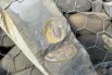 Кости приходилось вырезать специальным оборудованием. 