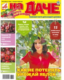 Что посадить в августе: удобный календарь