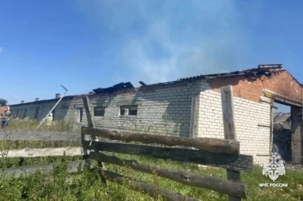 Заброшенная ферма сгорела в Большесельском округе