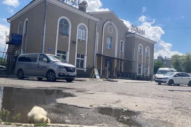 Перед автовокзалом в Ессентуках разбит асфальт и пасутся гуси.