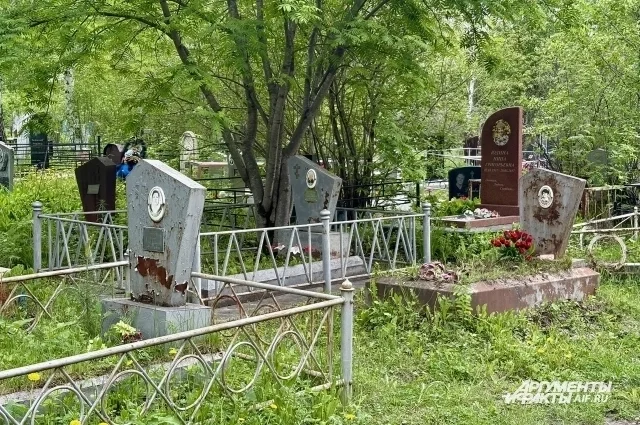 Всего в Кузбассе — более 990 кладбищ, и почти все действующие.