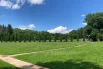 По периметру растут форзиция, сирень, магония падуболистная и юкка.