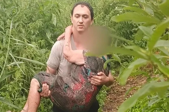 Во время поиска полицейские услышали отклик на свои крики и вскоре увидели пенсионерку, стоящую по грудь в болоте.