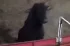 74ce3badb02bb73520c678514d2bd656.webp