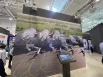 Интерактивный стенд показывает проект аэропорта «Омск — Фёдоровка» и рассказывает его возможностях.