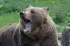 5ce49699f57069e5ae1e6d674c68ccde.webp