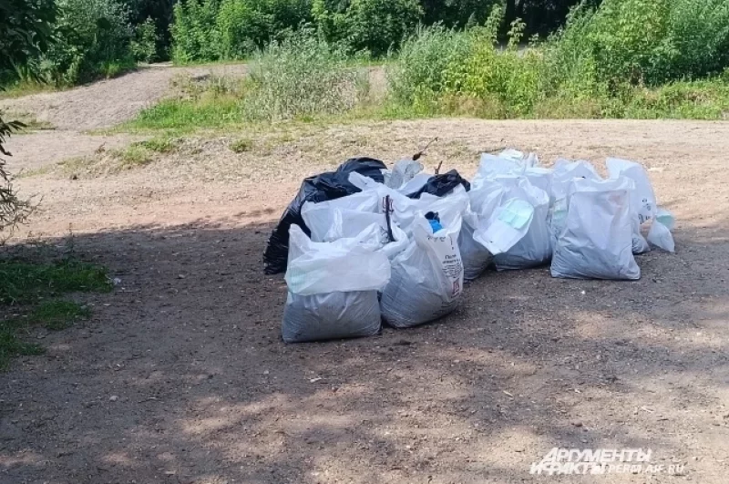 Весь мусор и грунт будут утилизированы.