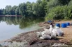 Волонтёры чистят берег от мазута.