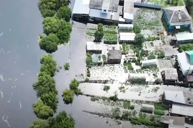 Если на огороды зашла паводковая вода, весь урожай подлежит уничтожению.