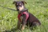 5169f95876738382da8d70183316ecc9.webp