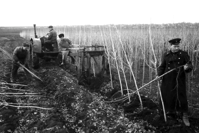 Предпринятые советским руководством меры помогли преодолеть засуху. 