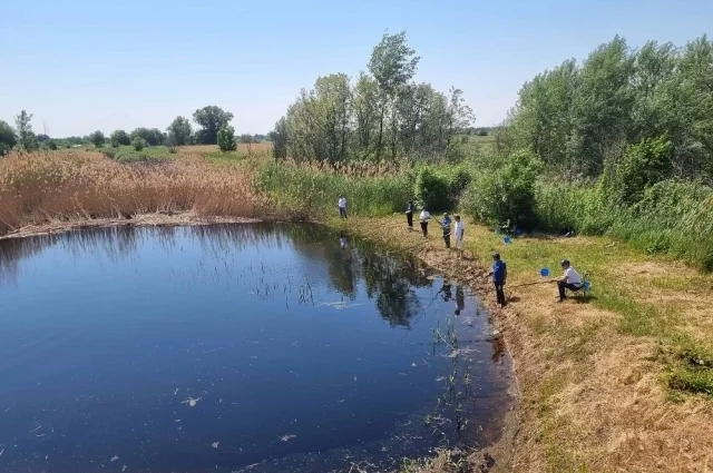 Волгоградцы массово вышли на рыбалку и вообще на воду - в этом году здесь хорошо, как никогда.