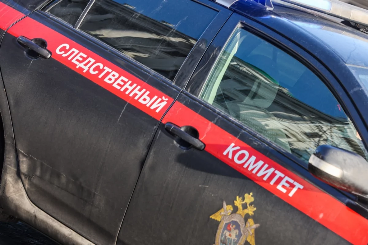 На Урале предъявили обвинение по делу об избиении ученого Зезина