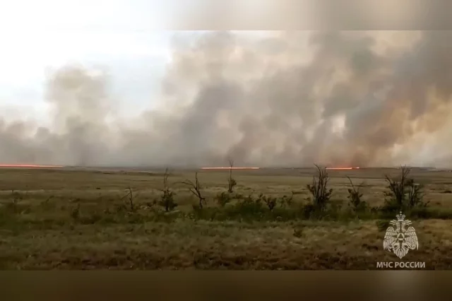 В Оренбургской области борются с природным пожаром на площади 1,1 тысячи гектаров.