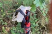 Череп предположительно символизирует богиню Мару.