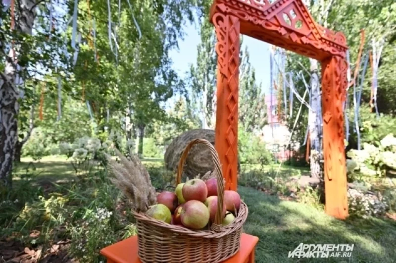 Для семей и детей подготовили интерактивные площадки и мастер‑классы по флористике: здесь можно не только любоваться, но и попробовать свои силы — собрать небольшой букет или узнать секреты ухода за растениями.