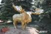 В Выставочном сквере Омска сейчас кипит работа: идёт масштабное благоустройство — реконструируют набережную Тухачевского и территорию у Омской крепости. Из-за этого фестиваль перенесли в дендросада имени Г. И. Гензе.
