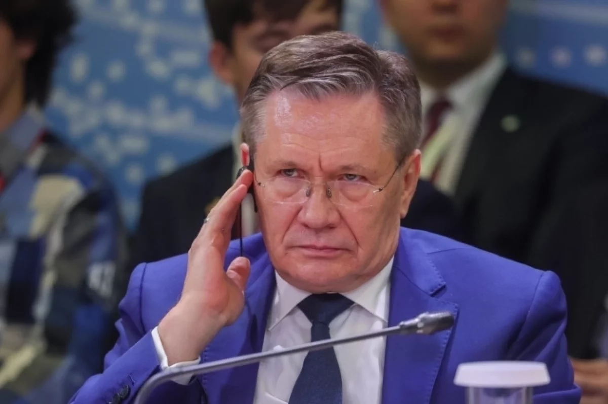 Лихачев: все члены экипажа теплохода «Янина», атакованного ВСУ, спасены
