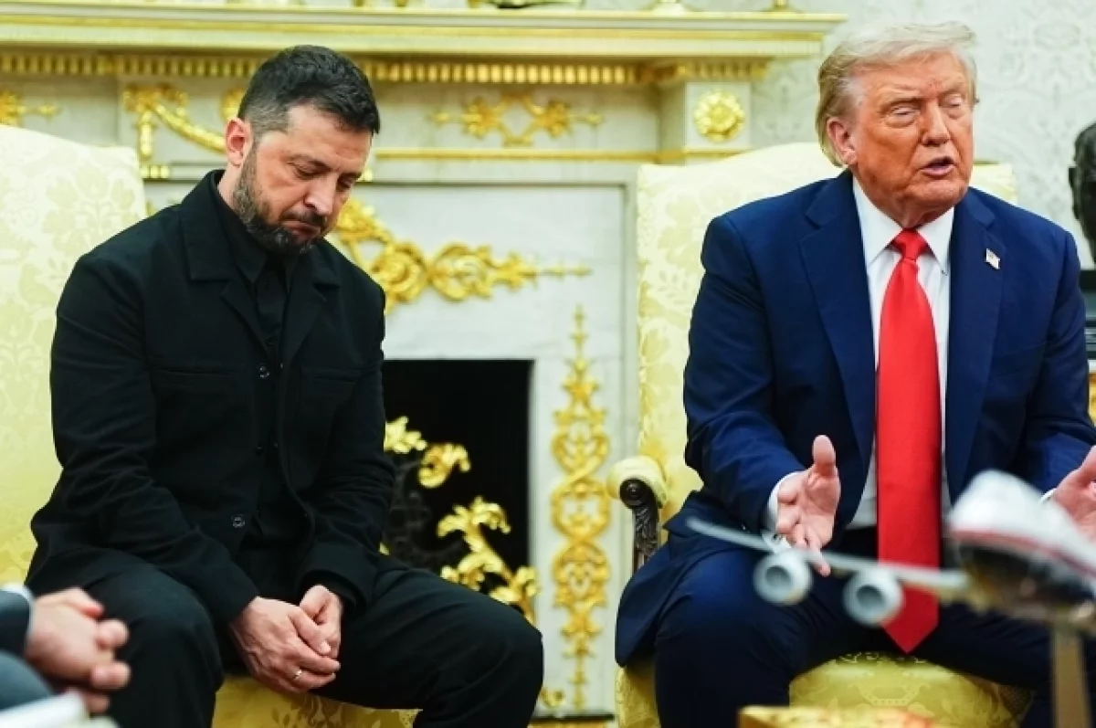 На Западе раскрыли, о чем на самом деле Зеленский просил Трампа на встрече