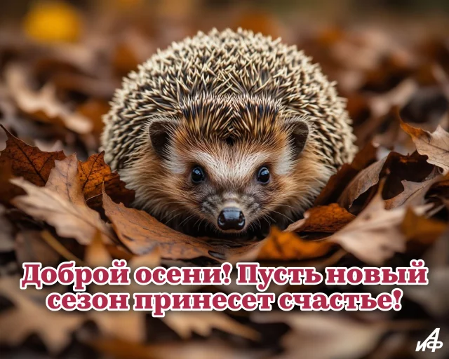 душевная открытка с первым днем осени